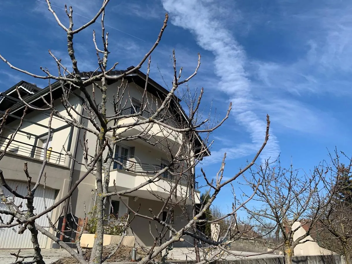 Appartement Detox Au Pied Du Semnoz Seynod France